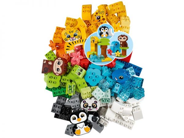 Creative animals - Image 7