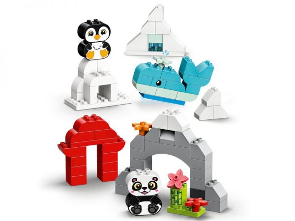 Creative animals - Image 6
