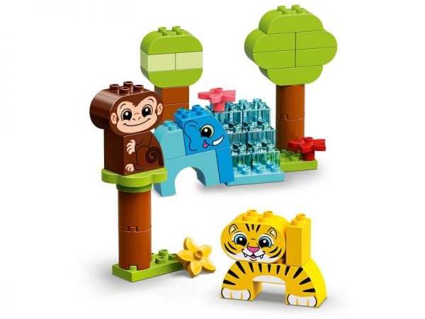 Creative animals - Image 4