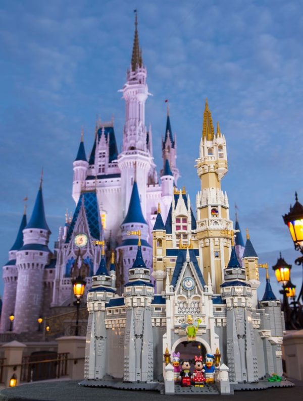The Disney Castle - Image 13