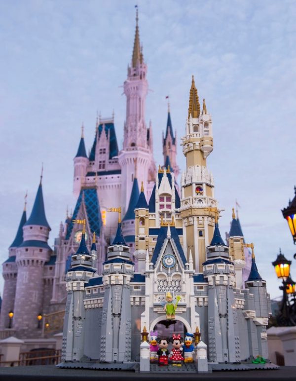 The Disney Castle - Image 12